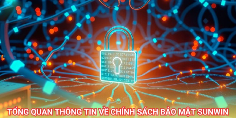 Các phương thức thu thập dữ liệu trong chính sách bảo mật thông tin 